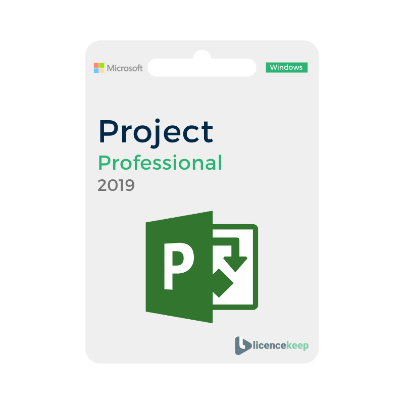Microsoft Project 2019 Professional image 0