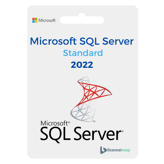 Microsoft SQL Server 2022 Standard image 0