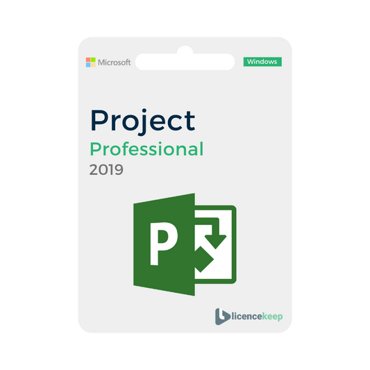 Microsoft Project 2019 Professional image 0