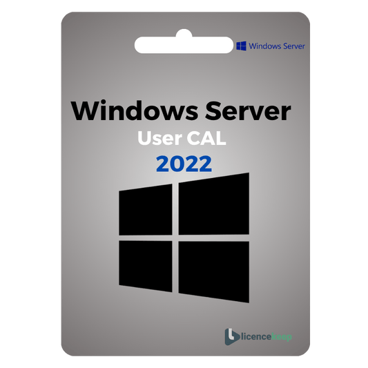User CAL For Windows Server 2022 50 User image 0